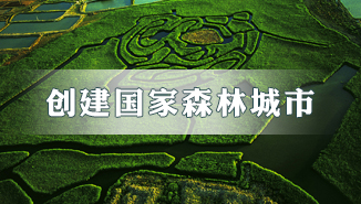 創(chuàng)建國(guó)家森林城市